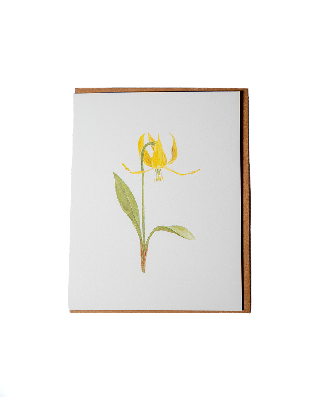 Wild Flower Greeting Cards