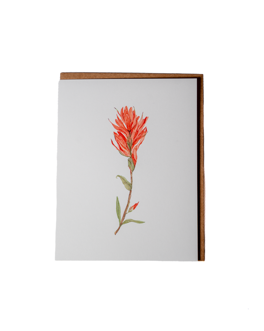 Wild Flower Greeting Cards