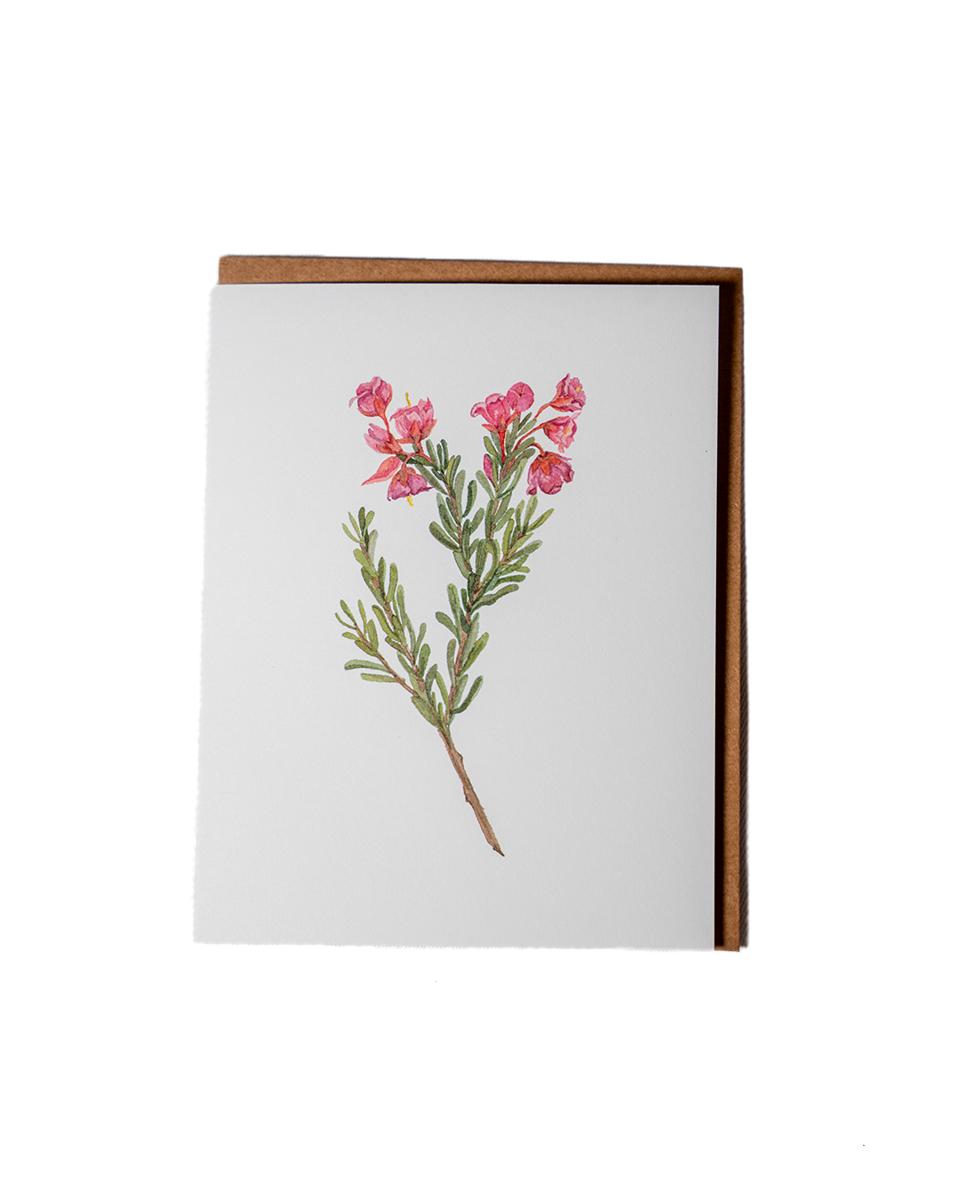 Wild Flower Greeting Cards
