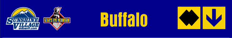 24" TRAIL SIGN BUFFALO