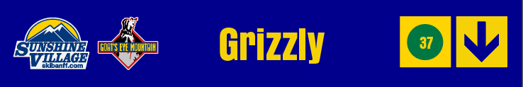 24" TRAIL SIGN GRIZZLY
