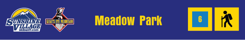 24" TRAIL SIGN MEADOW PARK