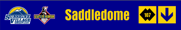 24" TRAIL SIGN SADDLEDOME
