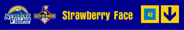 24" TRAIL SIGN STRAWBERRY FACE