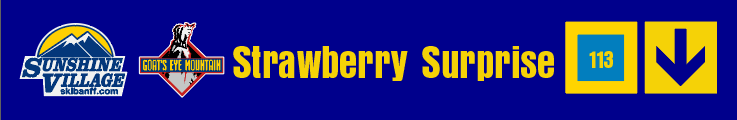 24" TRAIL SIGN STRAWBERRY SURPRISE