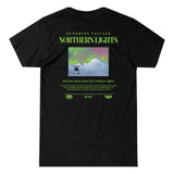 Northern Lights Heavy Weight Boxy Tee