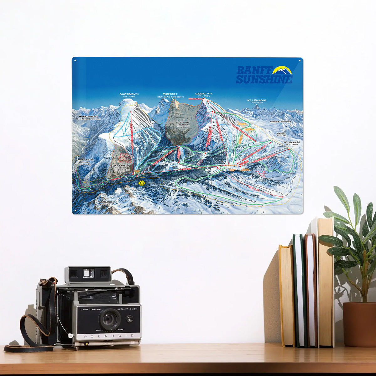 Metal Souvenir Sign - Trail Map