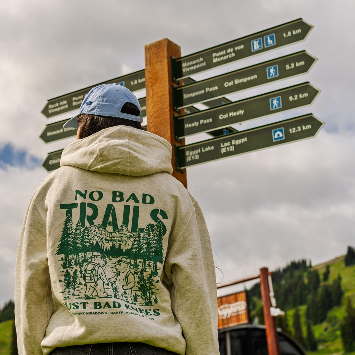 Sunshine Meadows No Bad Trails Just Bad Knees Hoodie